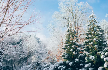 Winterlandschaft